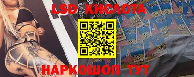мяу мяу мука Заводоуковск