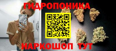 мяу мяу мука Заводоуковск
