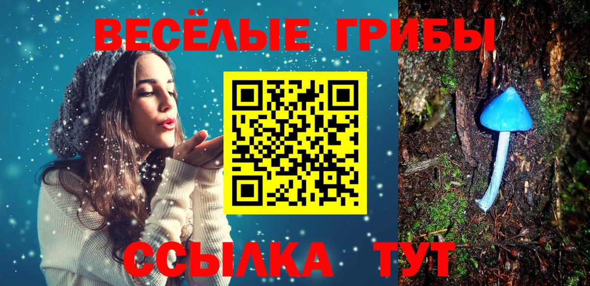 Псилоцибиновые грибы Psilocybine cubensis  Вход с VPN  Назарово  Галлюциногенные грибы прущие грибы 